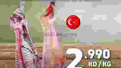 el3rod.com00001-1538
