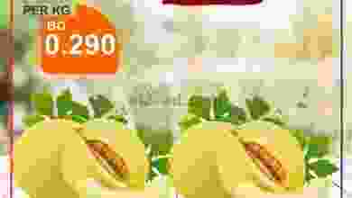 el3rod.com00001-1563