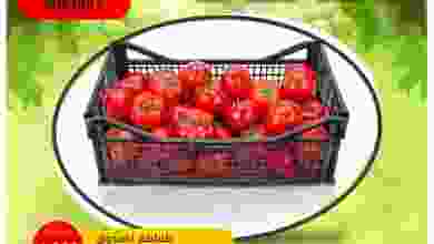 el3rod.com00001-1567