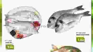 el3rod.com00001-1618