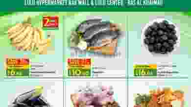 el3rod.com00001-169
