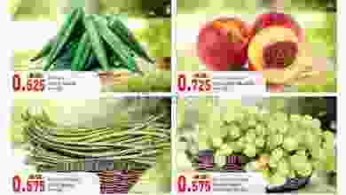 el3rod.com00001-170