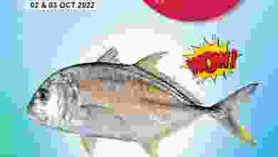 el3rod.com00001-172