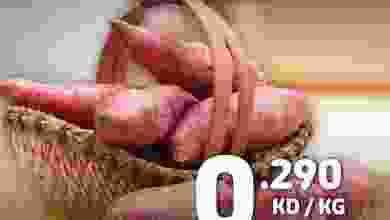 el3rod.com00001-182