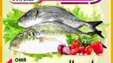el3rod.com00001-20