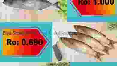 el3rod.com00001-201
