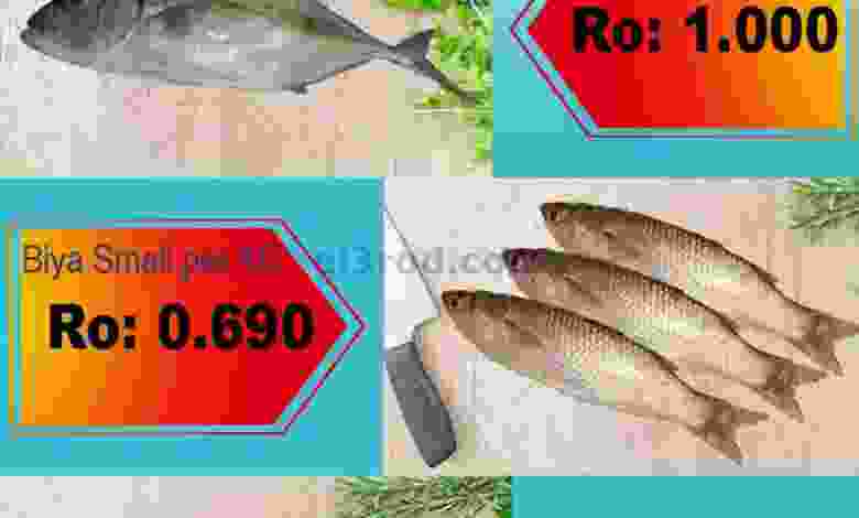 el3rod.com00001-201