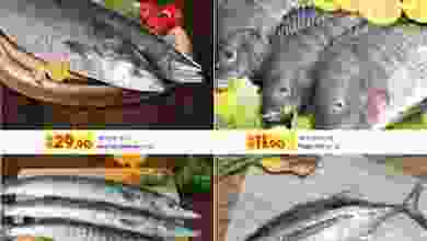 el3rod.com00001-221