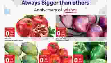 el3rod.com00001-238
