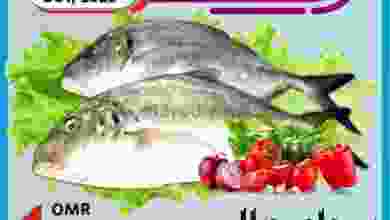 el3rod.com00001-252