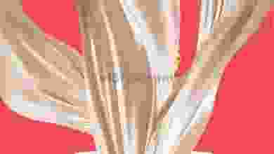 el3rod.com00001-279