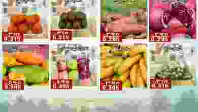 el3rod.com00001-284