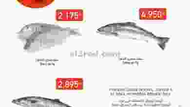 el3rod.com00001-291