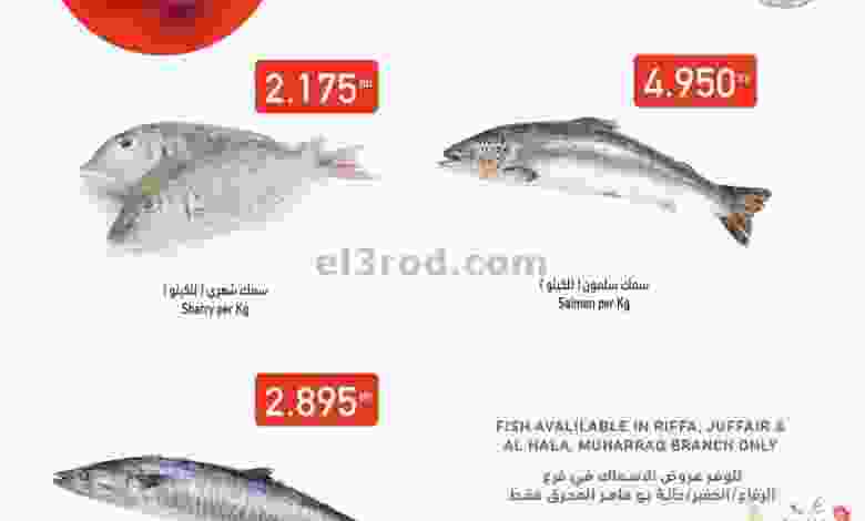 el3rod.com00001-291