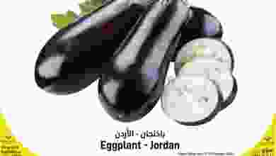 el3rod.com00001-362