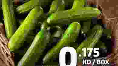 el3rod.com00001-375