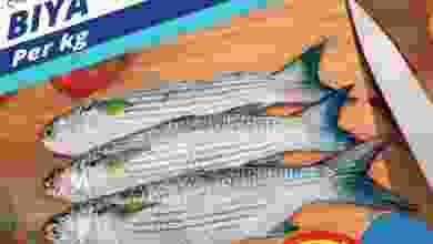el3rod.com00001-425