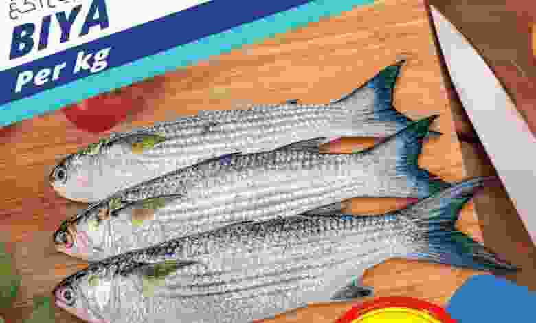 el3rod.com00001-425