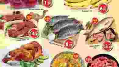 el3rod.com00001-456