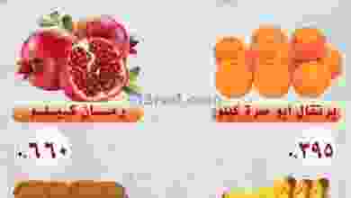 el3rod.com00001-470