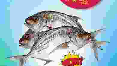 el3rod.com00001-491