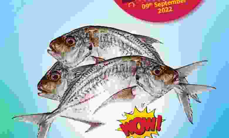 el3rod.com00001-491