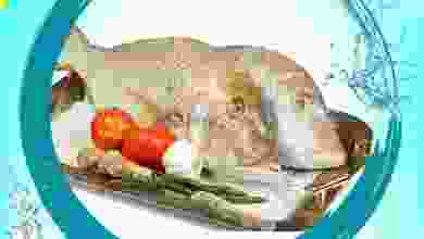 el3rod.com00001-492