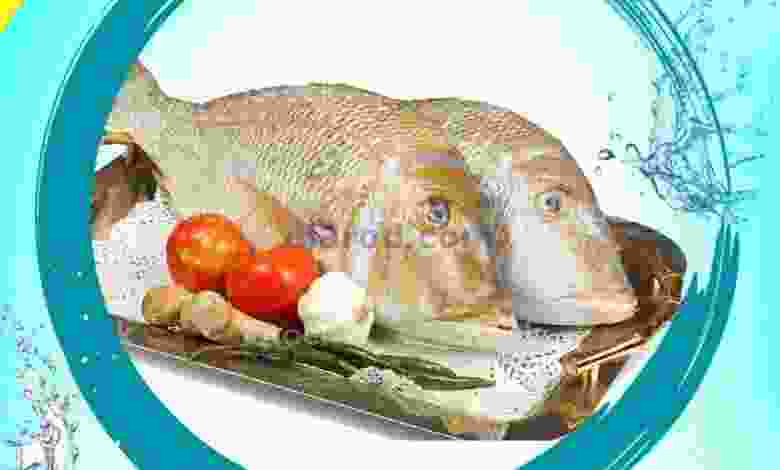 el3rod.com00001-492