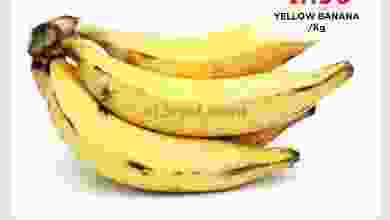 el3rod.com00001-505