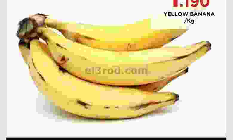 el3rod.com00001-505