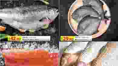 el3rod.com00001-549