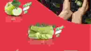 el3rod.com00001-687