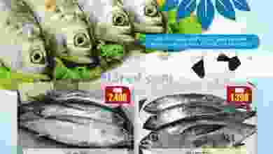 el3rod.com00001-700