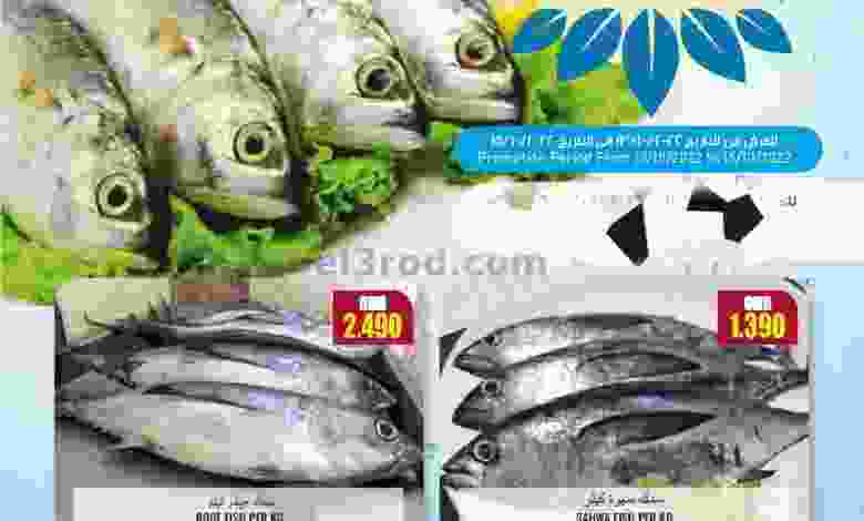 el3rod.com00001-700