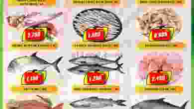 el3rod.com00001-763
