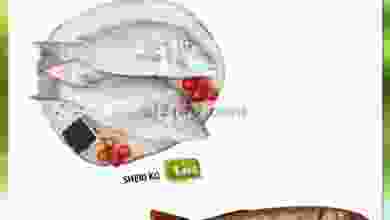 el3rod.com00001-82