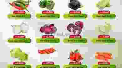 el3rod.com00001-832