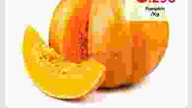 el3rod.com00001-848