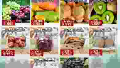 el3rod.com00001-874