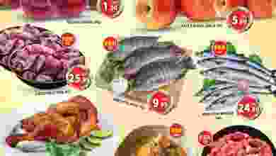 el3rod.com00001-97