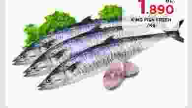 el3rod.com00001-970