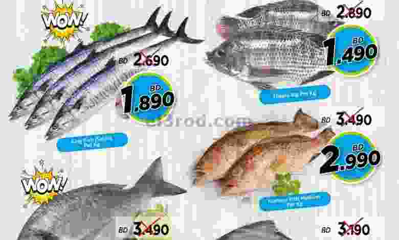 el3rod.com00001-971