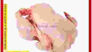 el3rod.com00001-993