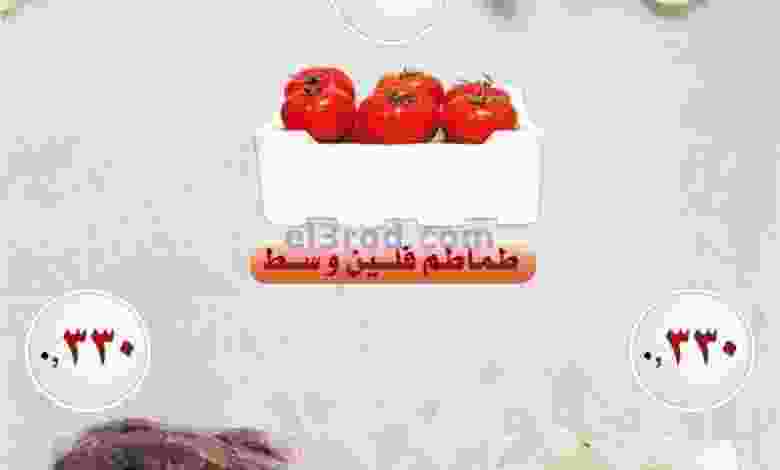 el3rod.com00002-542