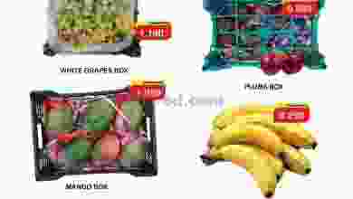el3rod.com00003-250
