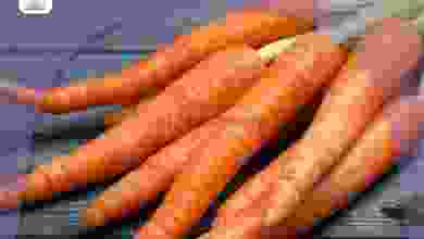 el3rod.com00003-807