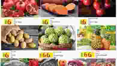 el3rod.com00005-129