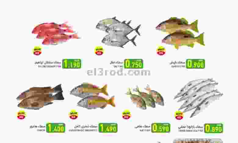 el3rod.com00006-689