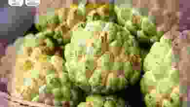 el3rod.com00014-99