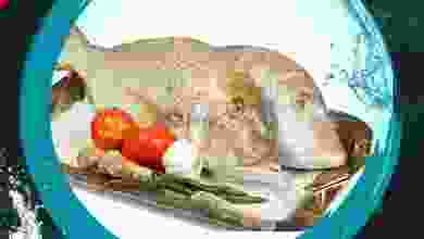 el3rod.com00001-1138